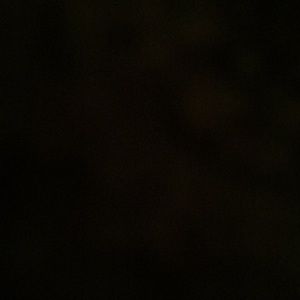 Meet your Posher, Connor